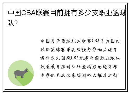 中国CBA联赛目前拥有多少支职业篮球队？